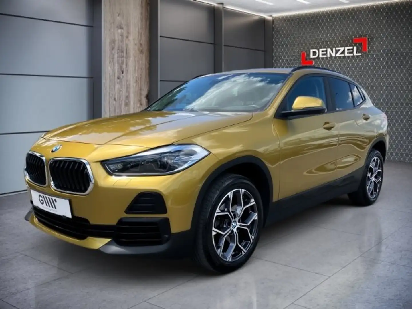 BMW X2 sDrive 18d Aut. Gold - 1