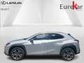 Lexus UX 300e Executive Line Grijs - thumbnail 2