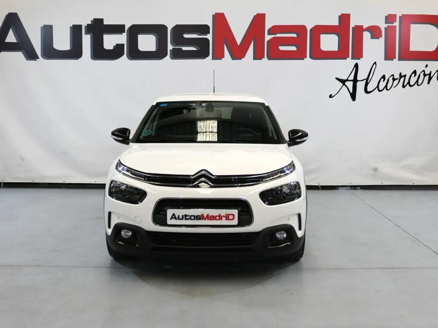 Citroen C4 Cactus BlueHDi 74KW (100CV) S&S Shine Biały - 2