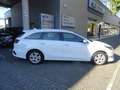 Kia Ceed / cee'd CEED Vision+Autom.+Navi+Sitzh.+RFK+PDC+ ACC CAM NA Blanc - thumbnail 8