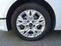 Kia Ceed / cee'd CEED Vision+Autom.+Navi+Sitzh.+RFK+PDC+ ACC CAM NA Blanc - thumbnail 20