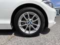 BMW 116 F20 5p. Diesel 116d Blanco - thumbnail 9