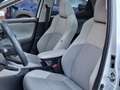 Toyota Yaris 1.5 Hyb. Executive PANO LM17 Apple/android Leer Wit - thumbnail 9