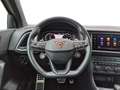 CUPRA Ateca 2.0 TSI 7-Gang-DSG 4Drive Gris - thumbnail 12