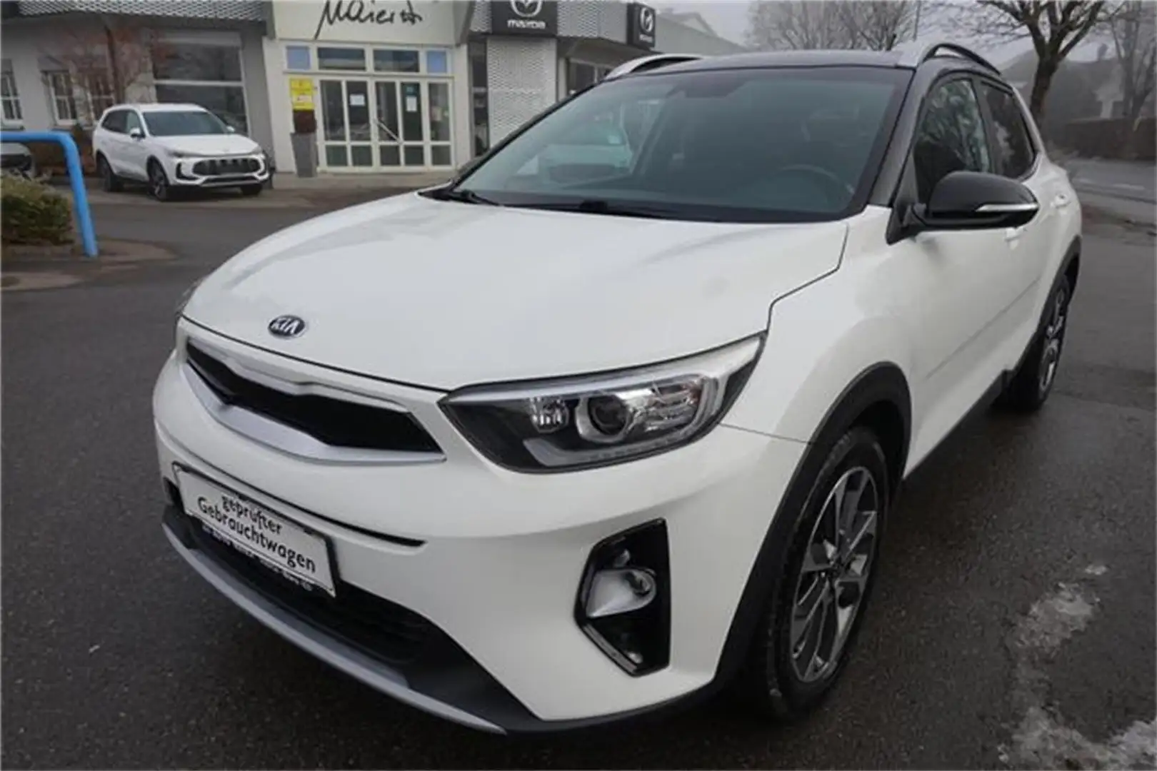 Kia Stonic 1,0 TGDI ISG Gold Weiß - 1