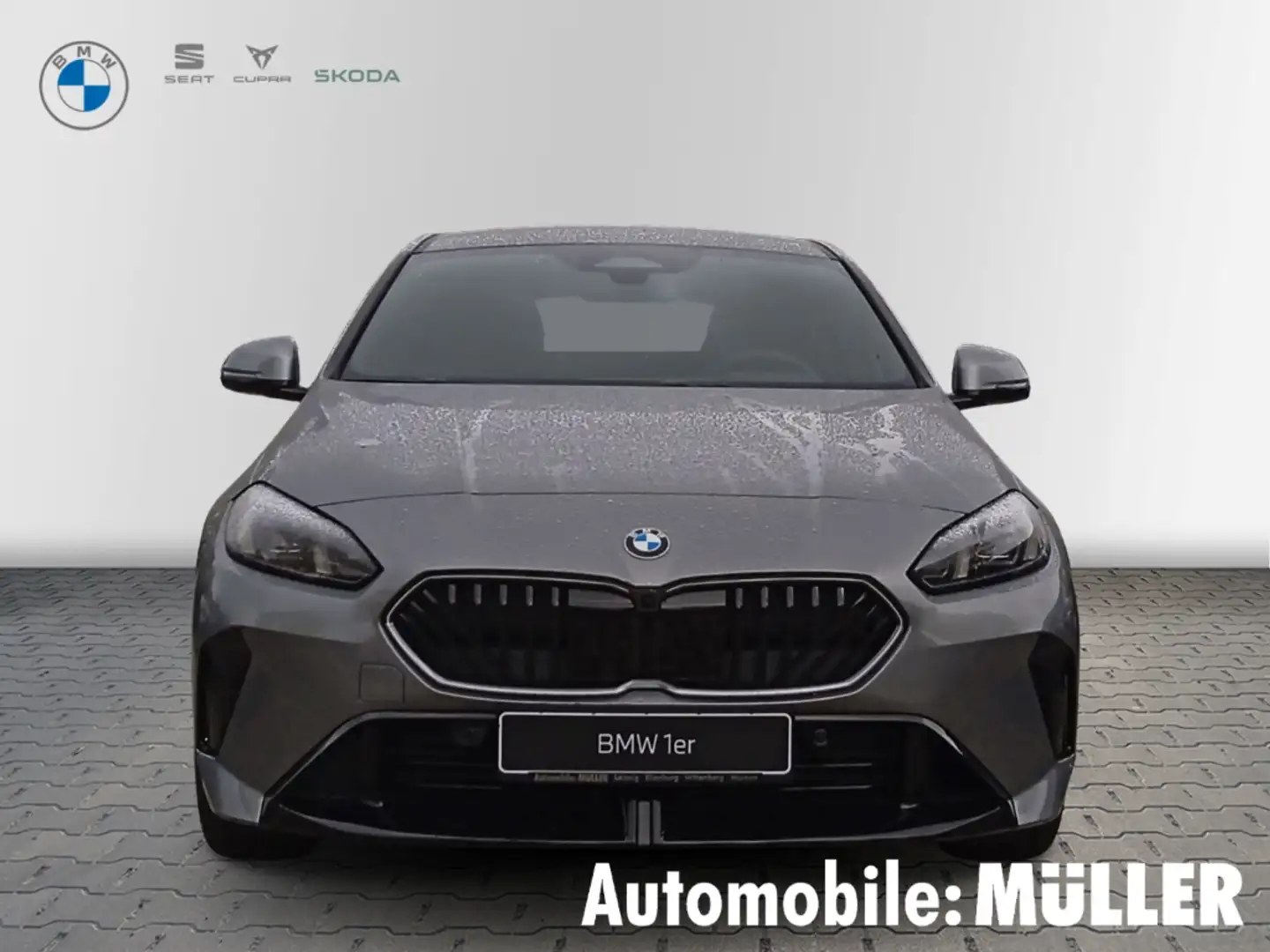 BMW 123 i xDrive*M-Sportpaket Pro*HUD*Ad LED*AHK*DAB*Harma Gri - 2