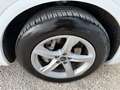 Audi Q5 Q5 I Sportback Sportback 35 2.0 tdi mhev S line Weiß - thumbnail 15