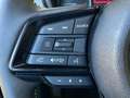 Subaru Forester 2,0i e-Boxer Adventure AWD Aut. inkl. Anhängerv... Grau - thumbnail 21