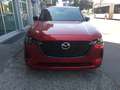 Mazda CX-60 3.3L e-Skyactiv D 249 CV M Hybrid AWD Homura Plus Rosso - thumbnail 3