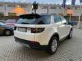 Land Rover Discovery Sport 2.0d i4 MILD HYBRID awd 150cv Unico Proprietario White - thumbnail 5