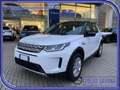 Land Rover Discovery Sport 2.0d i4 MILD HYBRID awd 150cv Unico Proprietario White - thumbnail 1