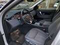 Land Rover Discovery Sport 2.0d i4 MILD HYBRID awd 150cv Unico Proprietario Blanc - thumbnail 9