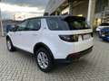 Land Rover Discovery Sport 2.0d i4 MILD HYBRID awd 150cv Unico Proprietario Blanc - thumbnail 7