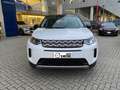 Land Rover Discovery Sport 2.0d i4 MILD HYBRID awd 150cv Unico Proprietario Blanc - thumbnail 2