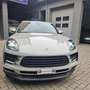 Porsche Macan 2.0 TETTO-BOSE-IVA-CERCHI 21 Grigio - thumbnail 5