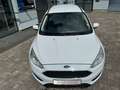 Ford Focus Turnier 1.5 TDCi Trend Automatik|NAVI|SHZ Blanc - thumbnail 13