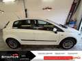 Fiat Punto Evo 1.2 MYLIFE // JANTES ALU / CLIMATISATION MANUELLE / RADIO CD / Weiß - thumbnail 8