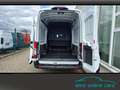 Ford Transit L4H3 Trend DoKa RWD SYNC4*6 Sitze*2xAirb Weiß - thumbnail 10