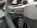 CUPRA Terramar 1.5 TSI e-Hybrid VZ Performance / Pano / 360 Camer Paars - thumbnail 20