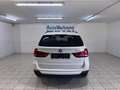 BMW X5 X5 xdrive25d Business 231cv auto Bianco - thumbnail 10