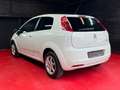 Fiat Punto Evo Punto Blanco - thumbnail 2