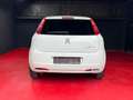 Fiat Punto Evo Punto Blanco - thumbnail 11