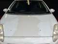 Fiat Punto Evo Punto Blanco - thumbnail 14