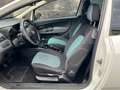 Fiat Punto Evo Punto Blanco - thumbnail 3