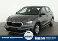 Skoda Fabia 1.0 TSI Selection, Park, Winterpaket, SmartLink, 4 Grau - thumbnail 1