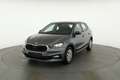 Skoda Fabia 1.0 TSI Selection, Park, Winterpaket, SmartLink, 4 Grau - thumbnail 29