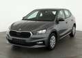 Skoda Fabia 1.0 TSI Selection, Park, Winterpaket, SmartLink, 4 Grau - thumbnail 2