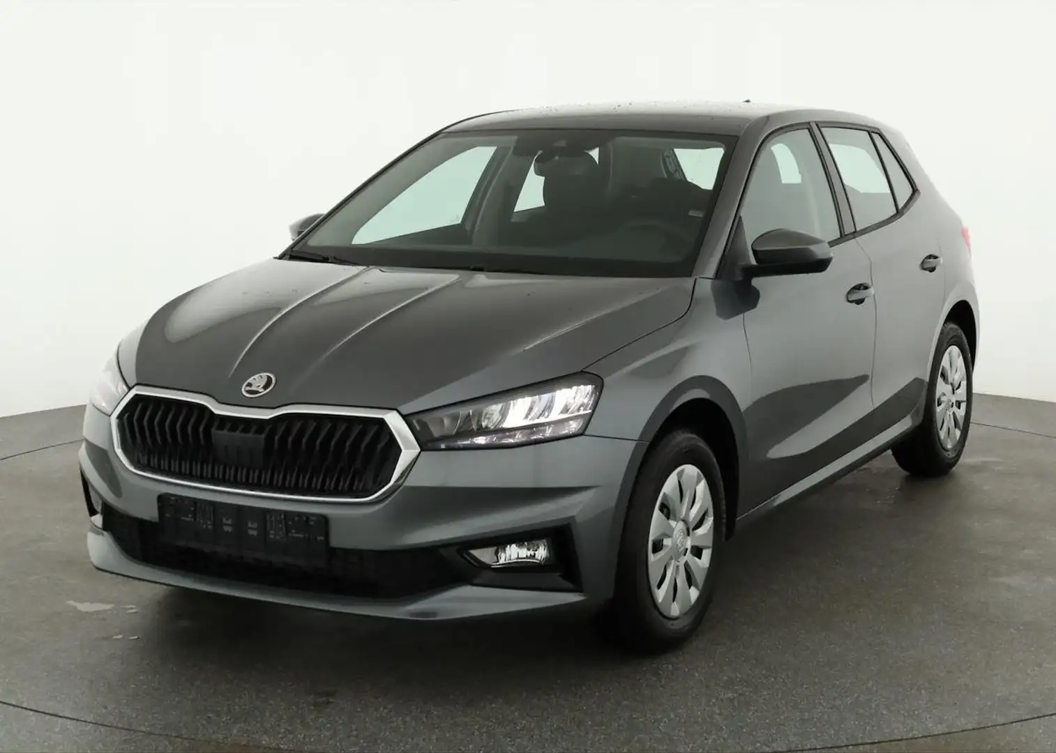 Skoda Fabia 1.0 TSI Selection, Park, Winterpaket, SmartLink, 4 Grau - 2