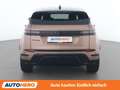 Land Rover Range Rover Evoque D165 Mild-Hybrid SE Dynamic Braun - thumbnail 5