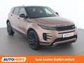 Land Rover Range Rover Evoque D165 Mild-Hybrid SE Dynamic Braun - thumbnail 8