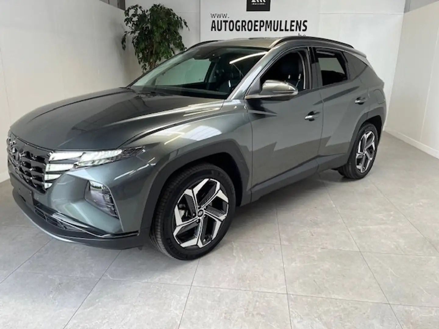 Hyundai TUCSON T-GDi Shine 4WD 6AT PHEV Plug in 265 pk - 1