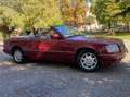 Mercedes-Benz CE 200 CABRIO Rot - thumbnail 8
