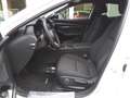 Mazda 3 2.5 e-Skyactiv-G 140cv M Hybrid Homura *AZIENDALE* Bianco - thumbnail 6