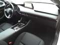 Mazda 3 2.5 e-Skyactiv-G 140cv M Hybrid Homura *AZIENDALE* Bianco - thumbnail 12