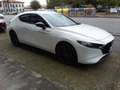 Mazda 3 2.5 e-Skyactiv-G 140cv M Hybrid Homura *AZIENDALE* Bianco - thumbnail 4