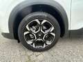 Citroen C5 Aircross Diesel 130 S&S EAT8 Max Weiß - thumbnail 6