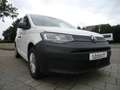 Volkswagen Caddy Cargo 2.0 TDI  KLIMA APP-CONNECT Weiß - thumbnail 4