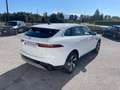 Jaguar F-Pace F-Pace 2.0d mhev R-Dynamic awd 204cv auto Bianco - thumbnail 7