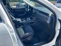 Jaguar F-Pace F-Pace 2.0d mhev R-Dynamic awd 204cv auto Bianco - thumbnail 11