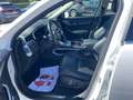 Jaguar F-Pace F-Pace 2.0d mhev R-Dynamic awd 204cv auto Bianco - thumbnail 10