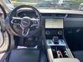 Jaguar F-Pace F-Pace 2.0d mhev R-Dynamic awd 204cv auto Bianco - thumbnail 9