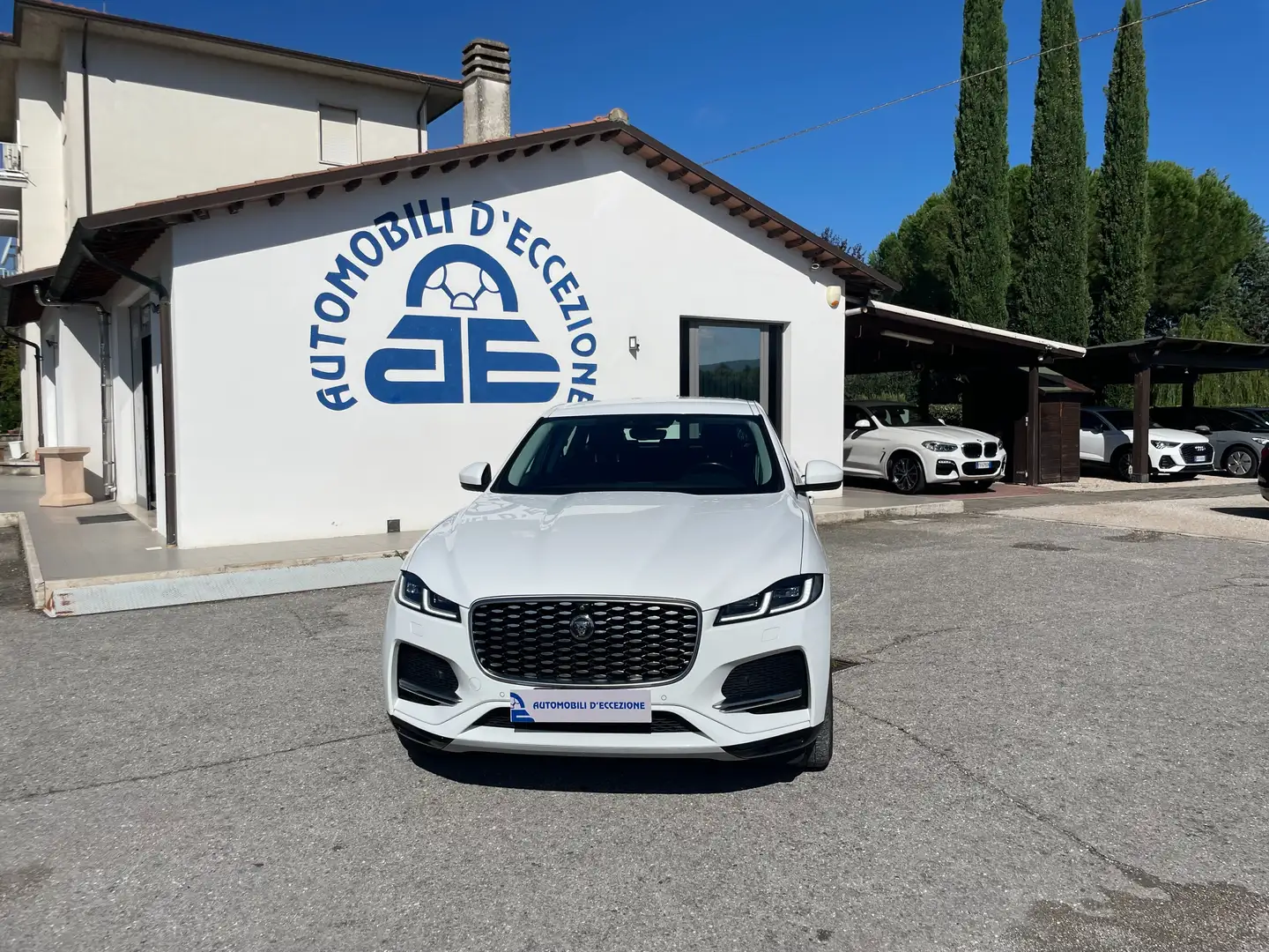 Jaguar F-Pace F-Pace 2.0d mhev R-Dynamic awd 204cv auto Bianco - 1