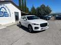 Jaguar F-Pace F-Pace 2.0d mhev R-Dynamic awd 204cv auto Bianco - thumbnail 5