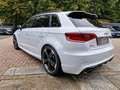 Audi RS3 Sportback 2.5 TFSI quattro 2. Hand 8-Fach Weiß - thumbnail 7