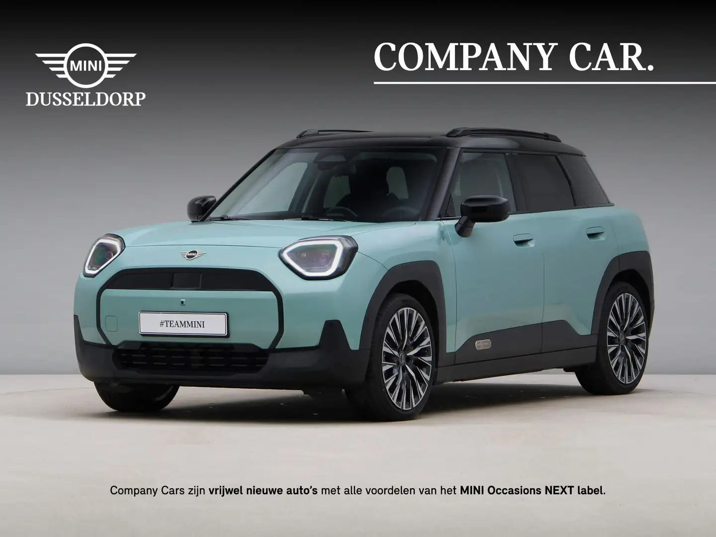 MINI Aceman E Classic Pakket L Groen - 1