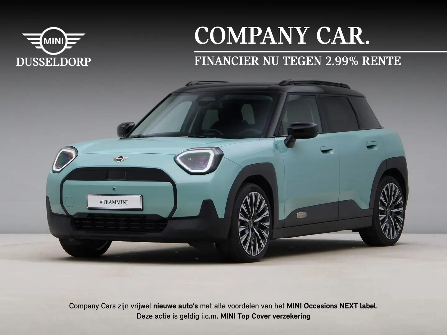 MINI Aceman E Classic Pakket L Vert - 1